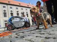 <p>Herkules vs. Twizy ;;-)<br mce_bogus="1"></p>